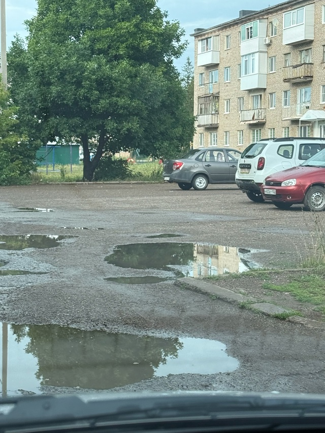 Сделайте нормальную дорогу возле общежития Педколлед?...