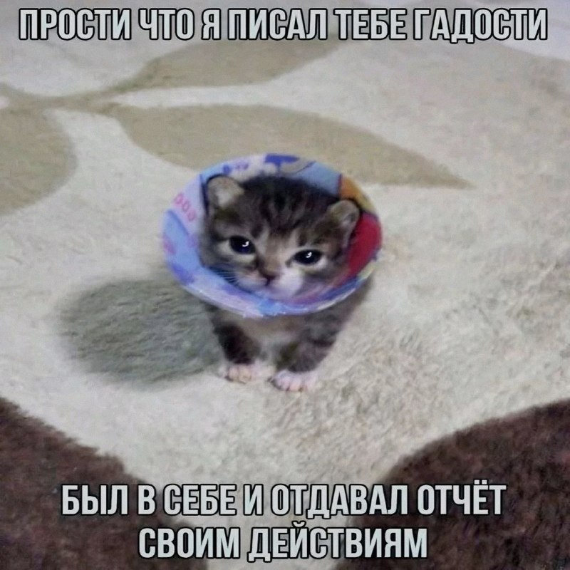 Ночная подборочка
Спать, режим