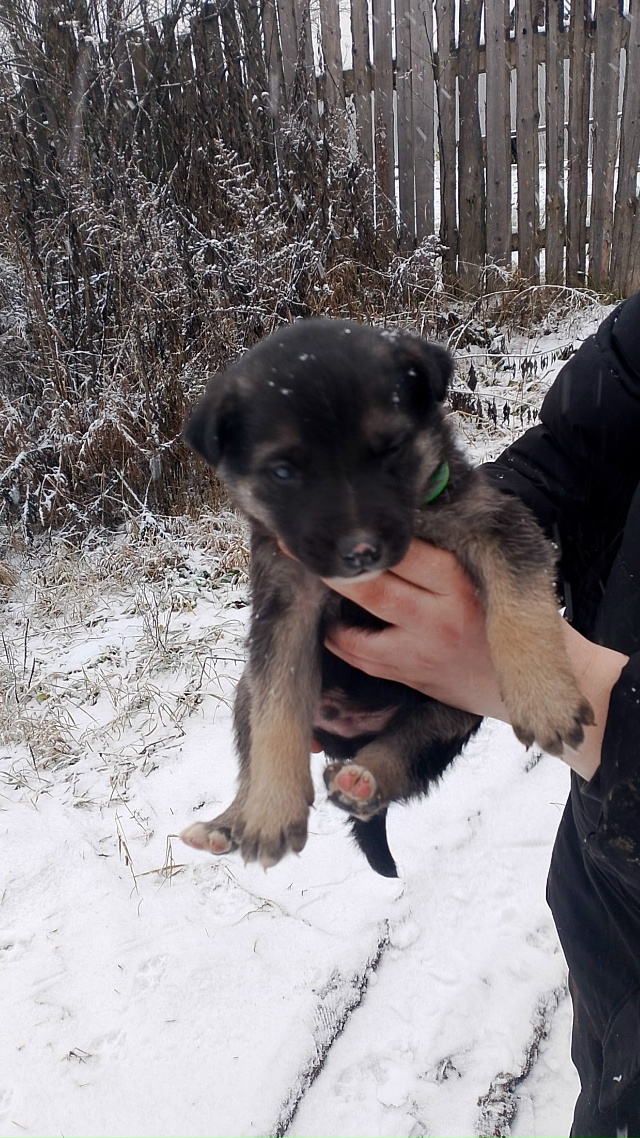 🆘️🆘️🆘️🆘️🆘️🆘️🆘
️Уважаемые жители нашего го?...