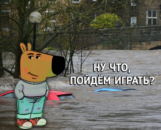 У каждого есть такой друг
