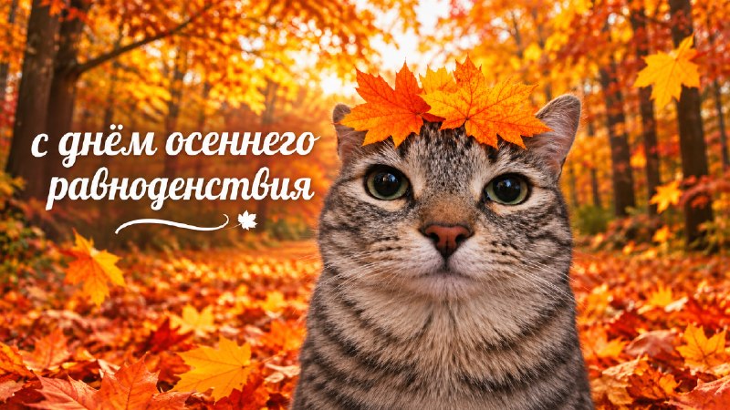 Уже завтра наступит день осеннего равноденствия — один из главных дней сезона
С него начинается аст