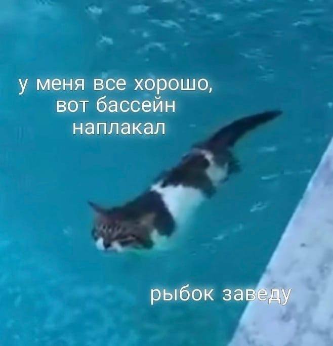 «как у тебя с деньгами, хватает всем на подарки?»