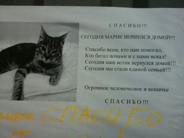 Такие объявления редкость. Но так мило)))