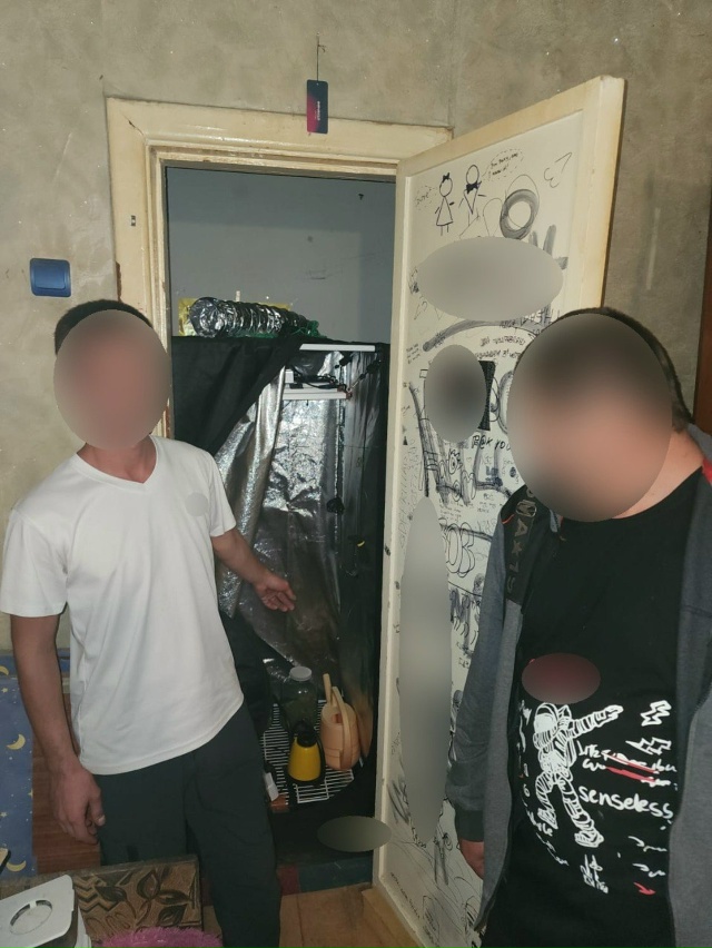 🪴 Домашний ботаник: в Евпатории полицейские изъяли у ?...