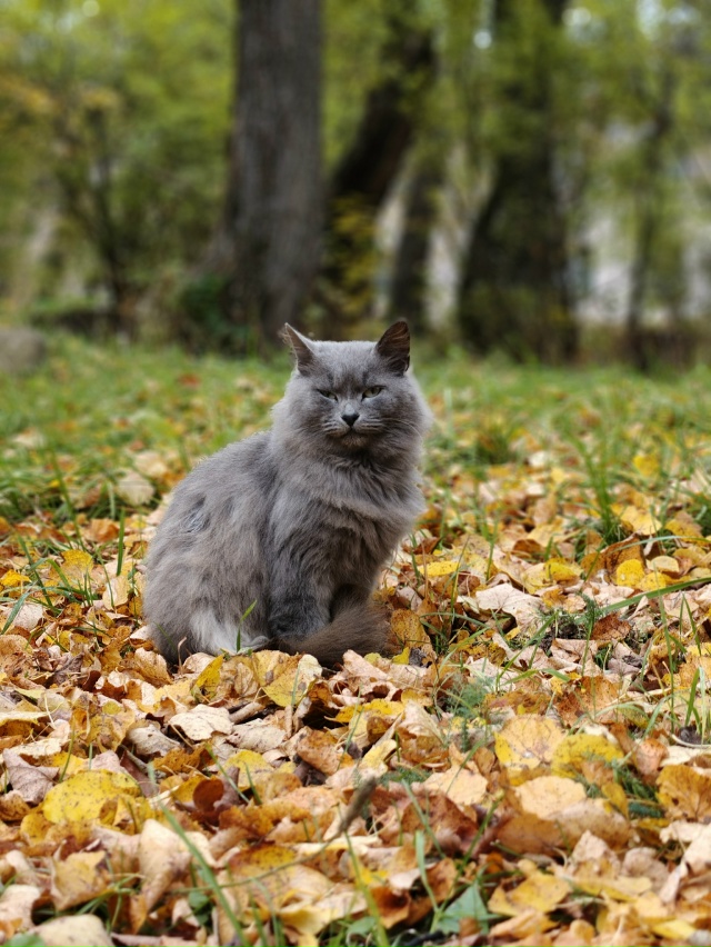 На прогулке 🍁🍁🍁