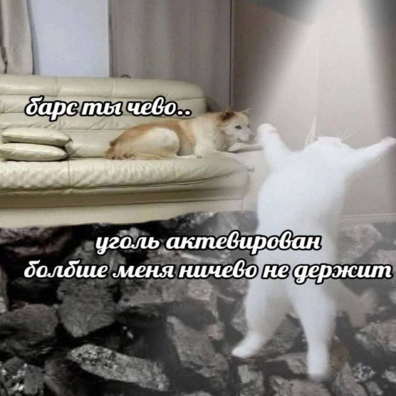 Утренняя подборочка