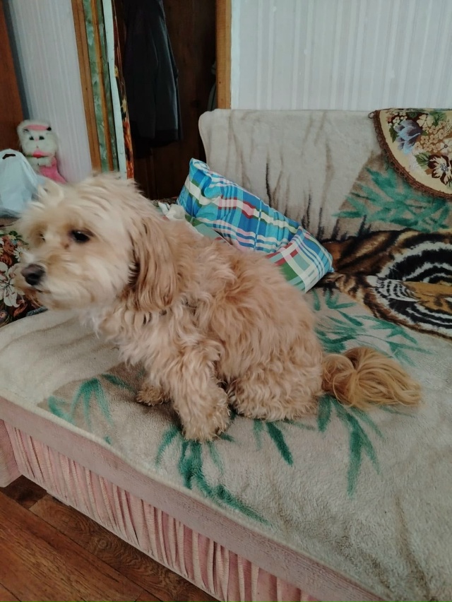 Добрый день.
В районе Павлово был найден этот симпатич?...