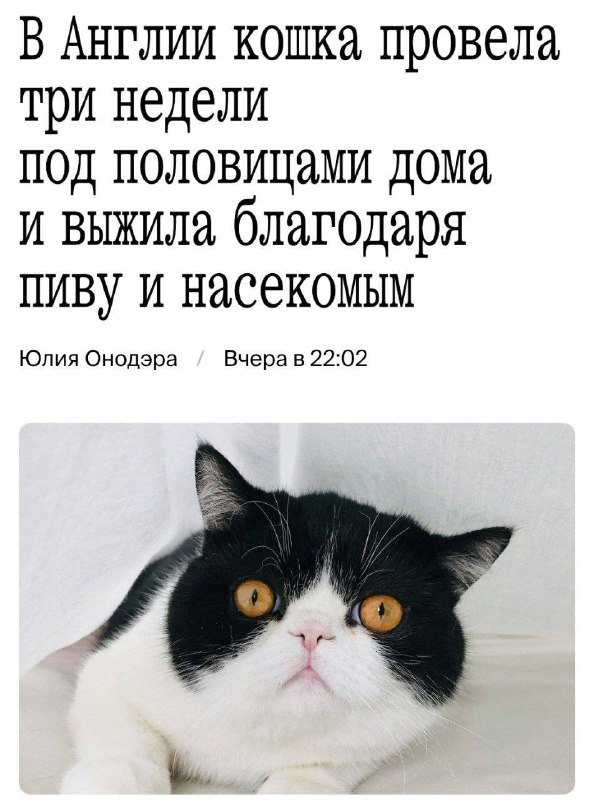 Какие вам еще нужны доказательства пользы пива?
