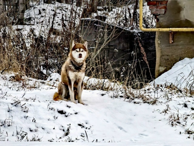 Зима постепенно приходит в Прикамье