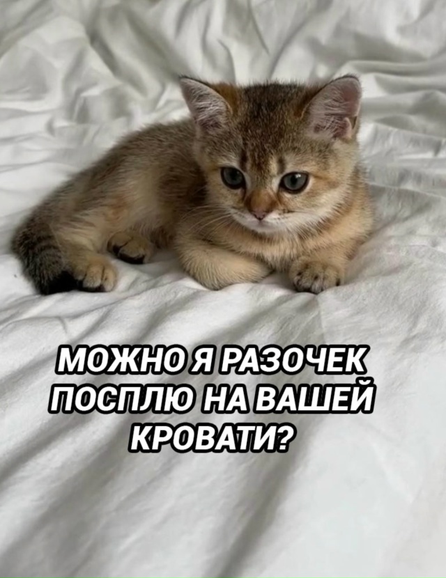 Смешная правда