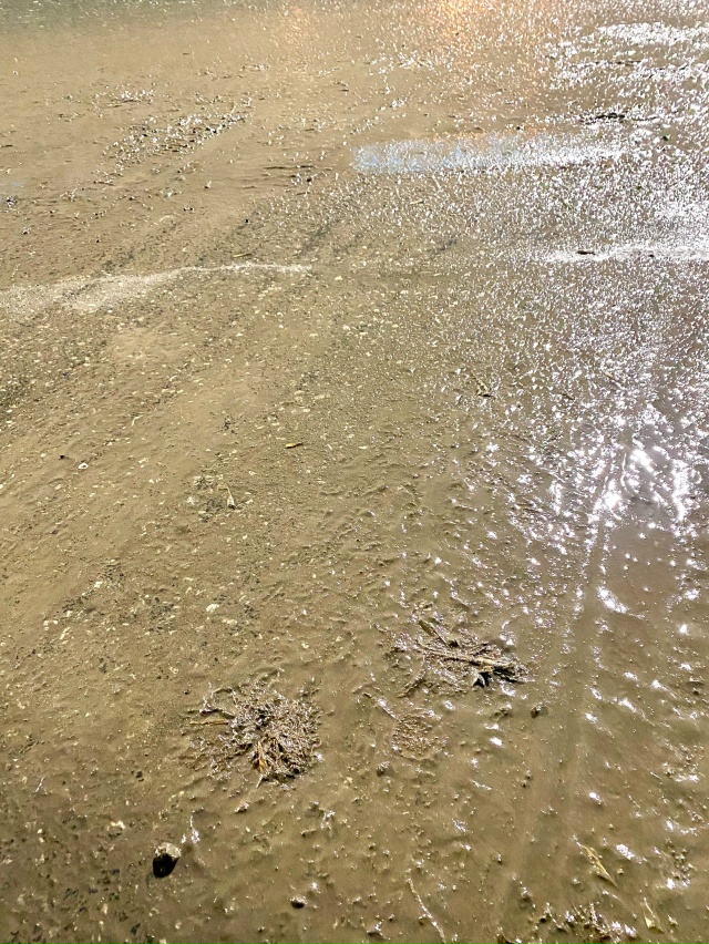 Фото асфальта , Пермь , центр города . Летом асфальт чис?...