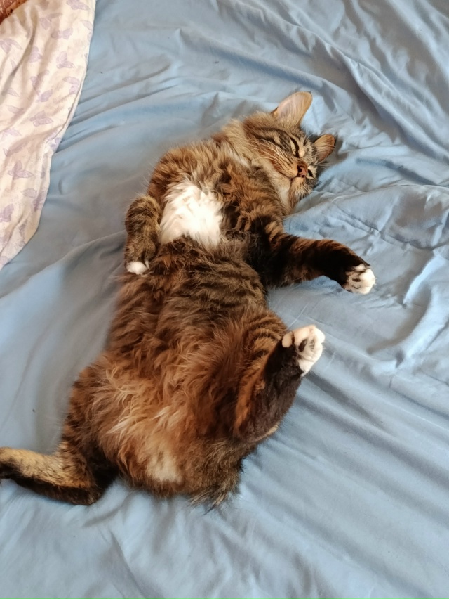 Пацаны. 1,5года