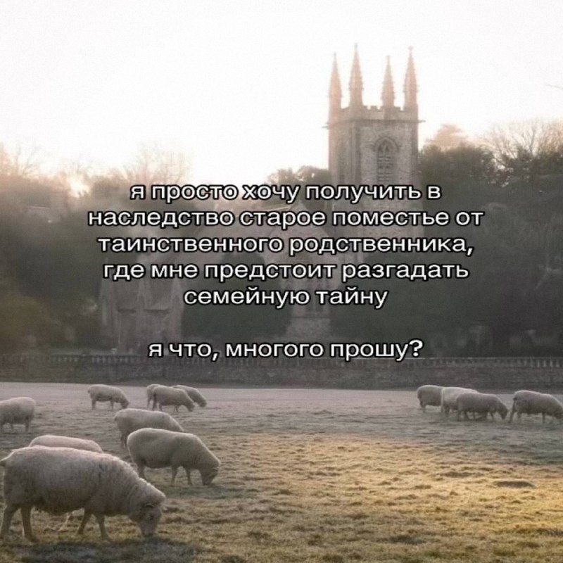 Утренняя подборочка