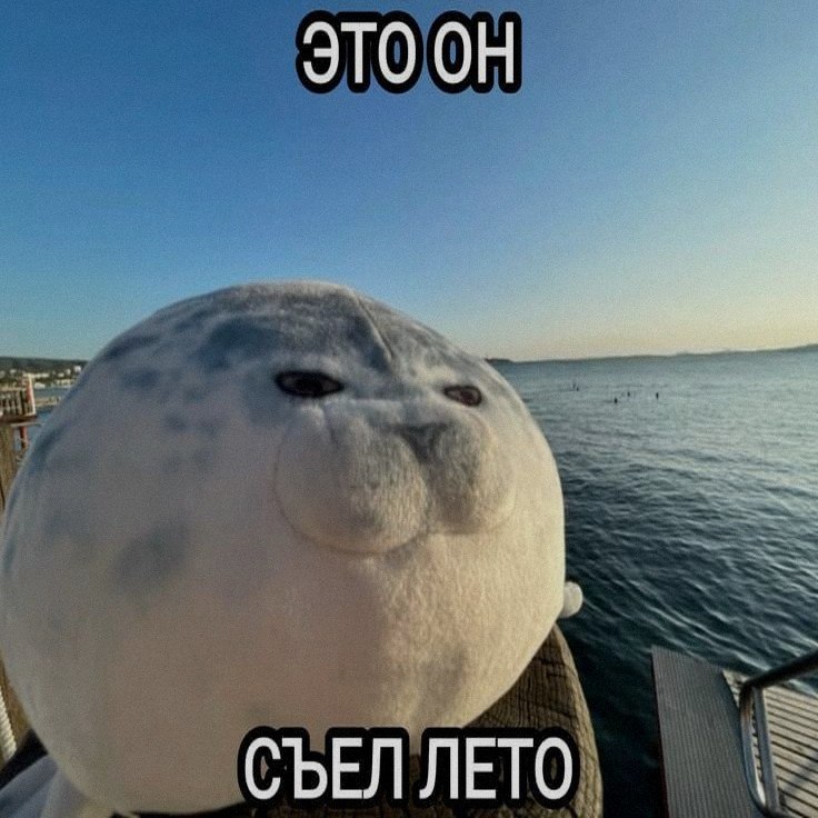 Ночная подборочка
Спать, режим