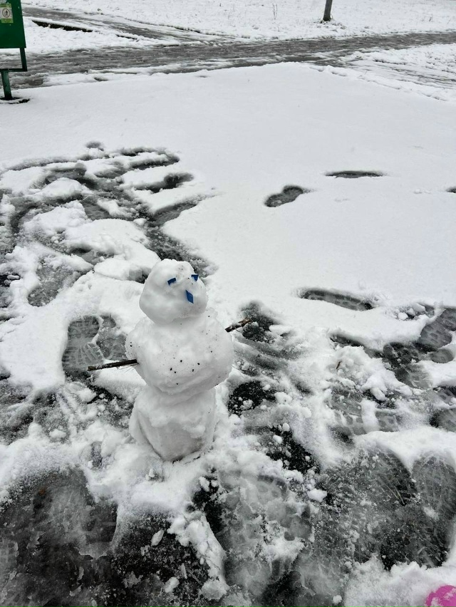 Ловите подборку первых зимних снеговиков
Часть из ни...