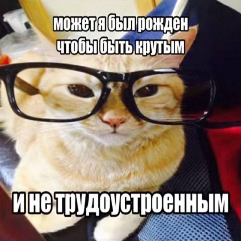 Утренняя подборочка