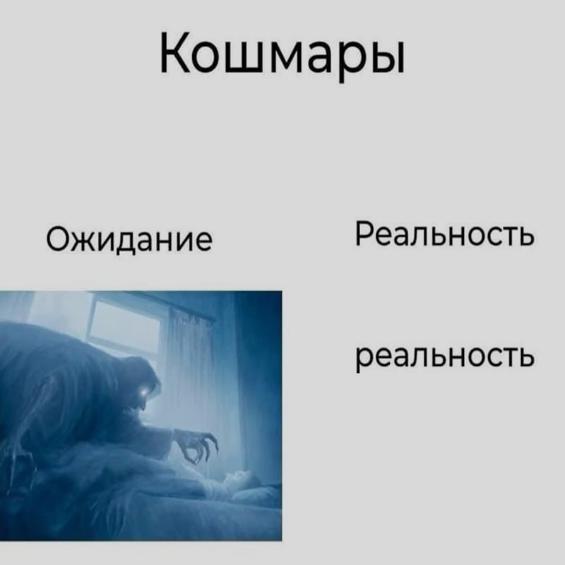 Ночная подборочка
Спать, режим