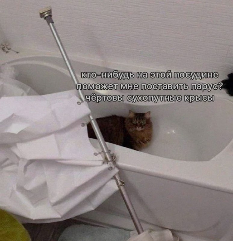 Ночная подборочка
Спать, режим