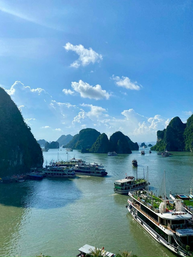 🌍 Бухта Халонг — одно из чудес Вьетнама, где море встр...