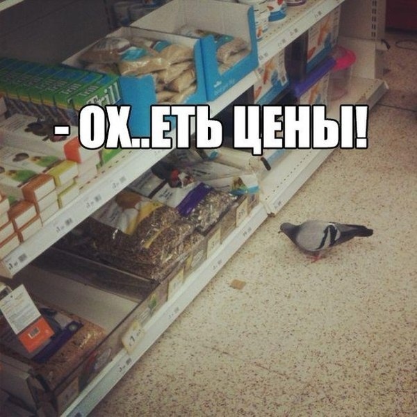 📈 Обязать магазины указывать цены за килограмм.
 Экс?...