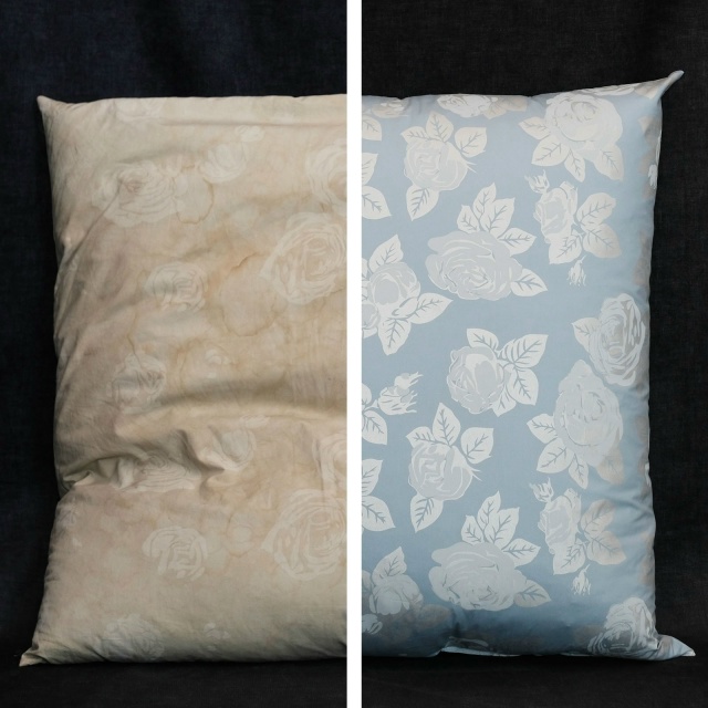 Закамск, чистка перьевых подушек в Главчист с вывозом ?...