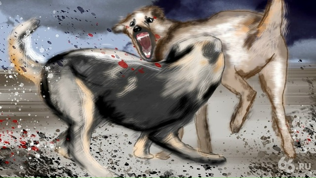 🐕Единую службу защиты от агрессивных собак запустят ?...