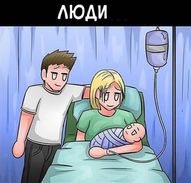 Жираф доставил