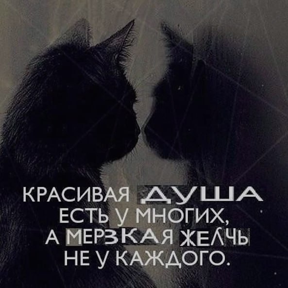 Ночная подборочка
Спать, режим