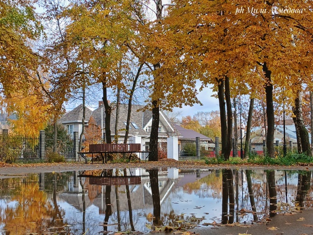 Больничный осенний октябрьский парк.
Отражение дер...