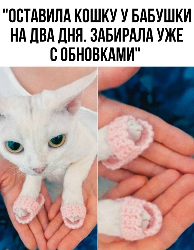 Как же это мило