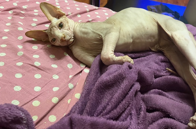 Самый всратый Лютик 🤨