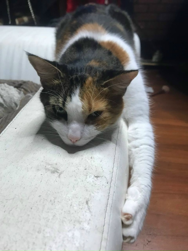 Мутя на грани))