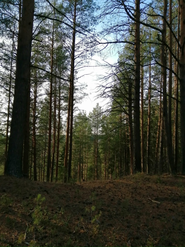 Доброй ночи, Никольск❤