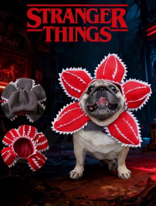 На российских маркетплейсах появилась шапка в виде Демогоргона для домашних питомцев
Теперь шерстян