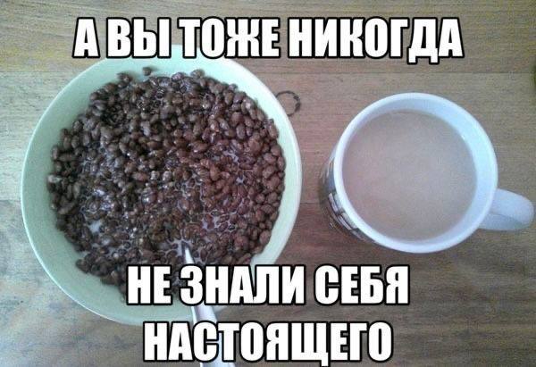 Утренняя подборочка