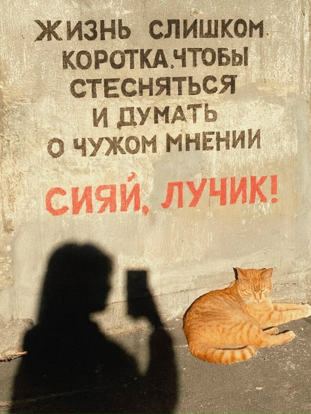 Пересылайте посты близким, ставьте реакции - это лучша?...