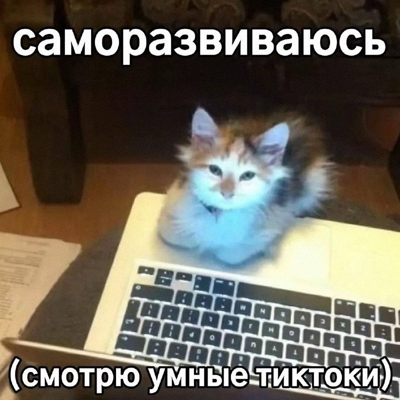 Утренняя подборочка