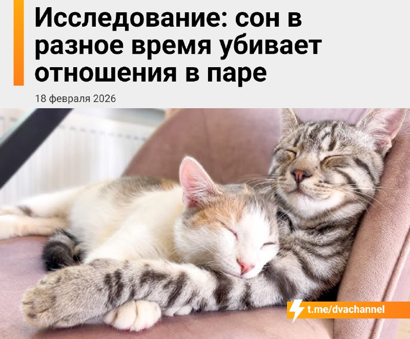 Разное время отхода ко сну рушит отношения — к такому выводу пришли учёные, опросив 2000 женатых люд
