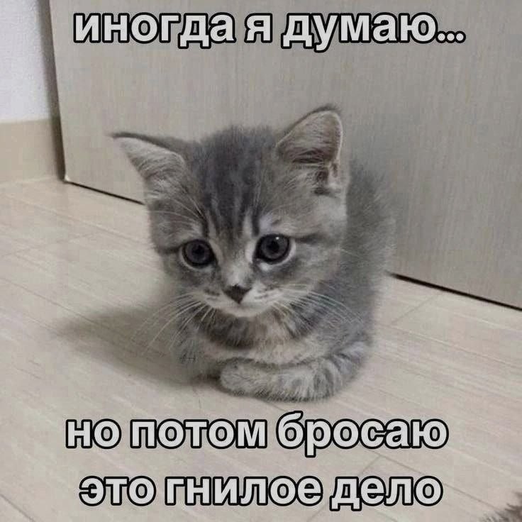 Ночная подборочка
Спать, режим