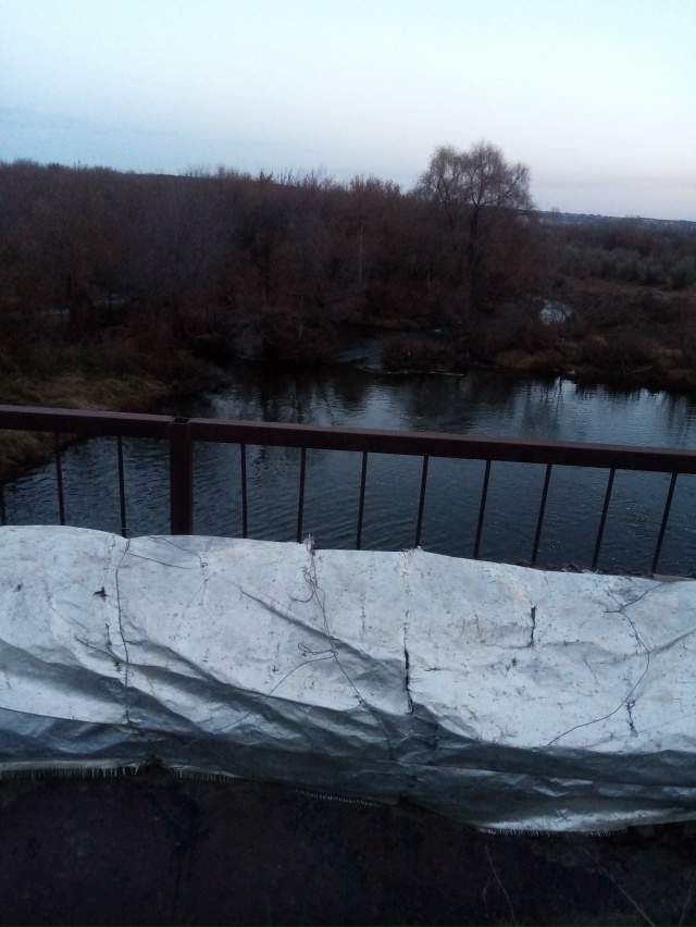 Немного позитива в ленту.На снимках-октябрь 2025 года на ...