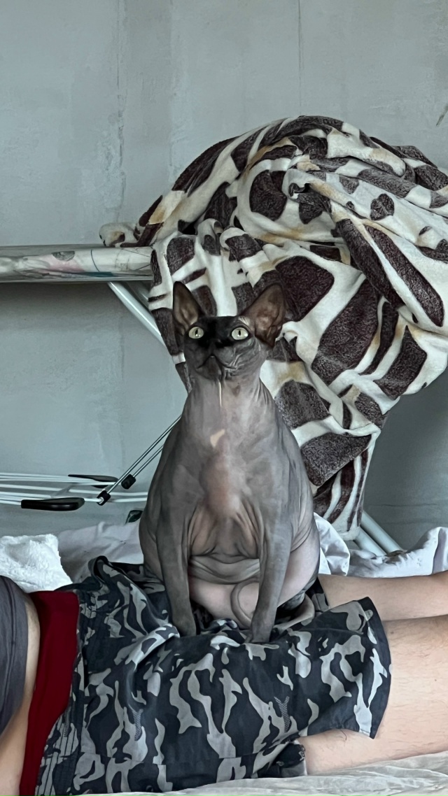 Оно то полуживое, то тыгыдык. Ася. Она же лысая шиза/рак?...