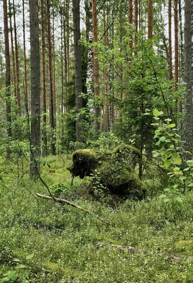 Доброго утра, Никольск❤