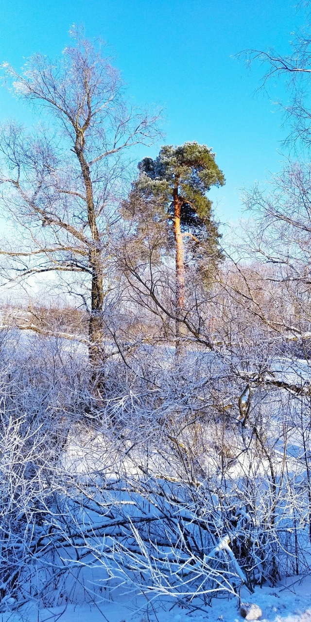 Доброй ночи, Никольск❤