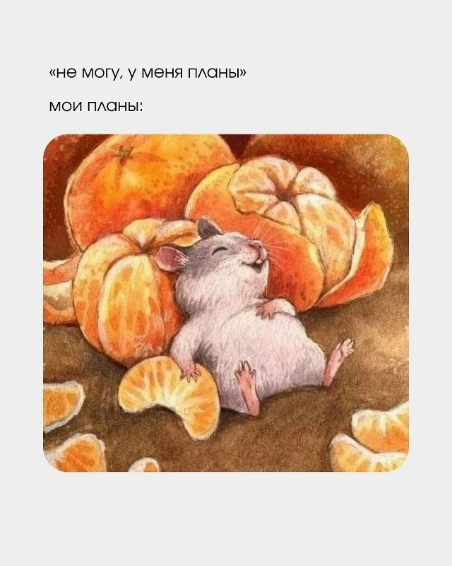 Коротко о главном: