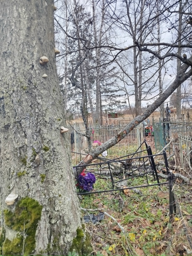 Такое мы увидели вчера 19.11.2025 г. на кладбище в с. Сицкое. ...