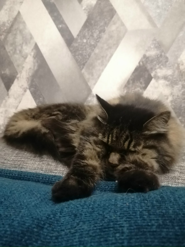 Наша Маша 12лет.