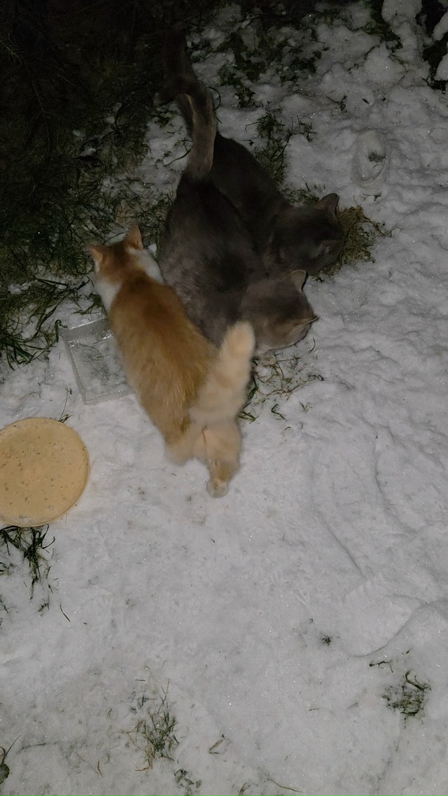 🚗 Ищем доброго водителя с автомобилем для поездки в Я?...