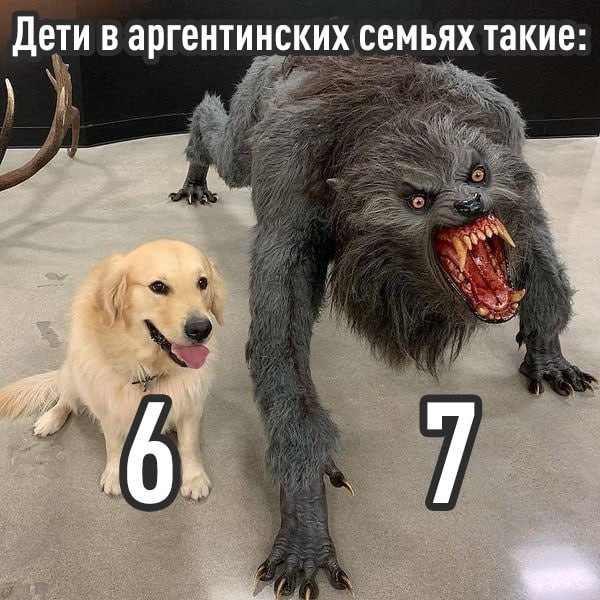 Анекдот: в Аргентине существует закон, защищающий детей от превращения в оборотней — чтобы этого изб