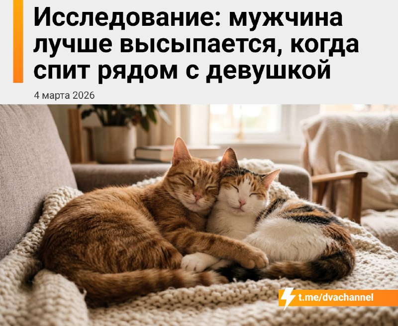 Сон рядом с тянкой — лучший способ для парня нормально выспаться, выяснили учёные
Рассказываем подр