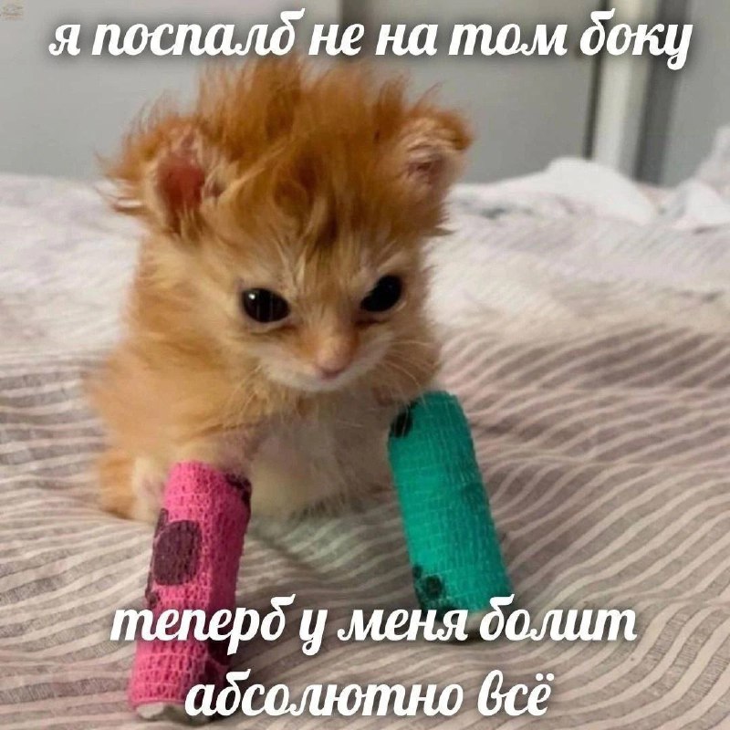 Утренняя подборочка